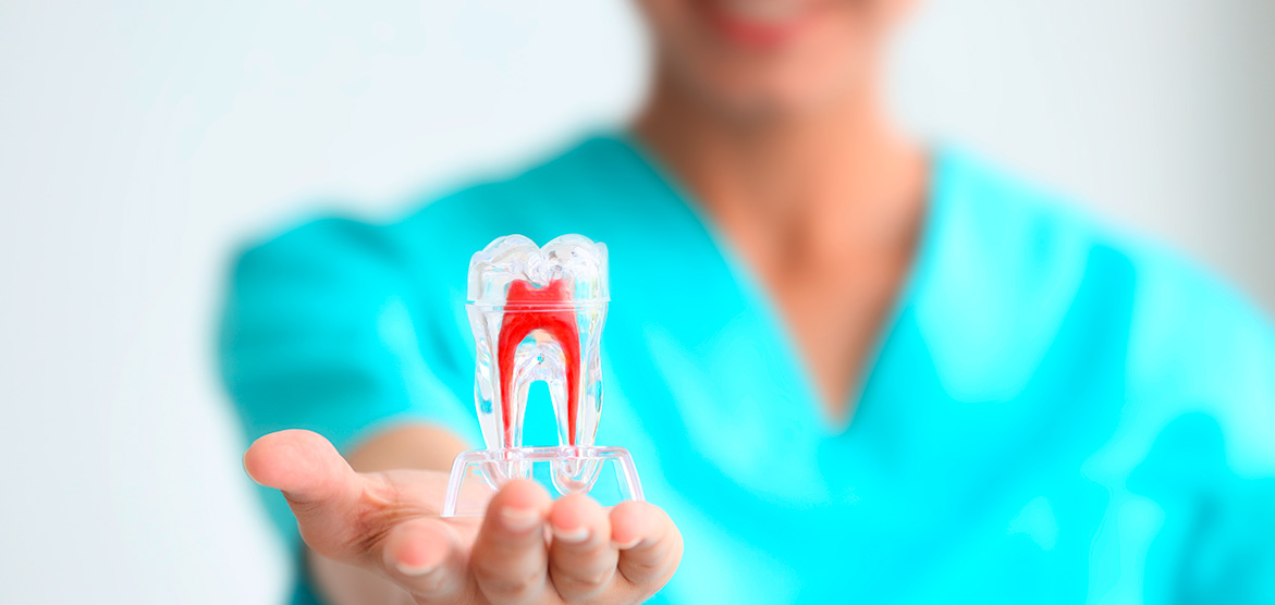 Endo-Komplett – Fit für die Praxis! – Von den Grundlagen bis zur Restaurativen Versorgung - Kongress - Kurs: 9851